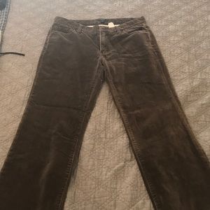 J. Crew women’s fine corduroy bootcut pants